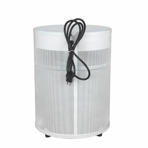 Airpura C400DLX Air Purifier