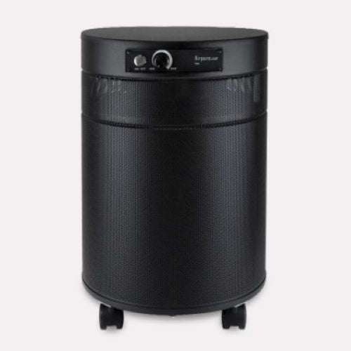 Overstock on sale air purifier