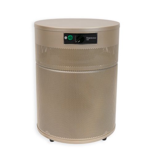 Airpura R400 Air Purifier