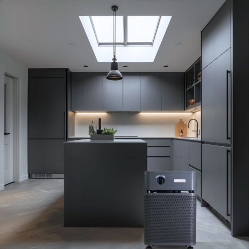 Austin Air Immunity Machine Air Purifier